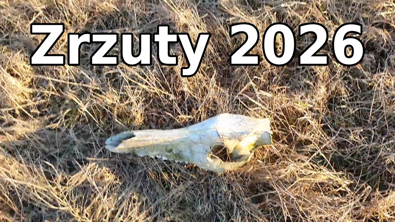 Pierwsze wyjście w roku 2026 na zrzuty Jeleni.