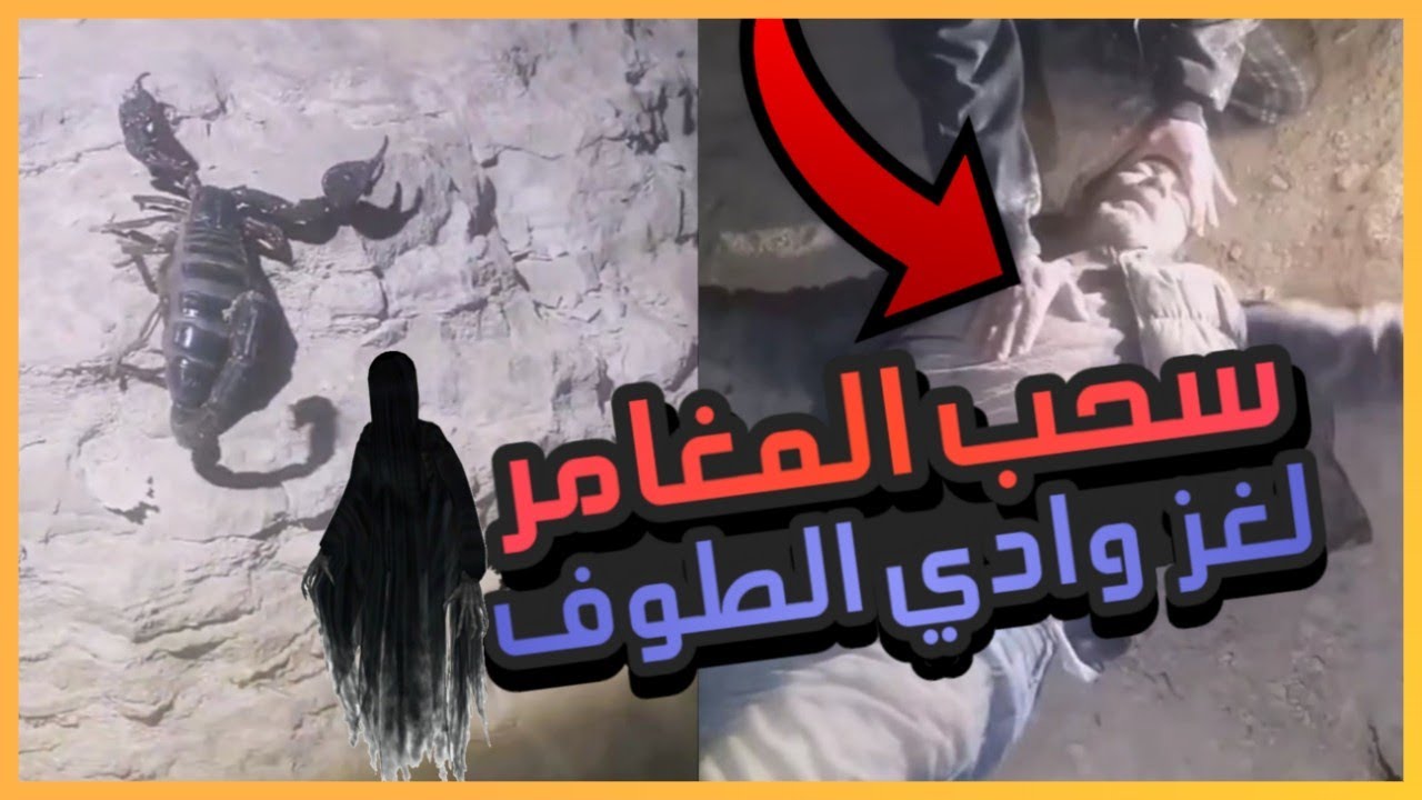 سحب المغامر ابو حياري عند هدف السيف في وادي الطوف ووجود عقرب ضخم في المنطقة