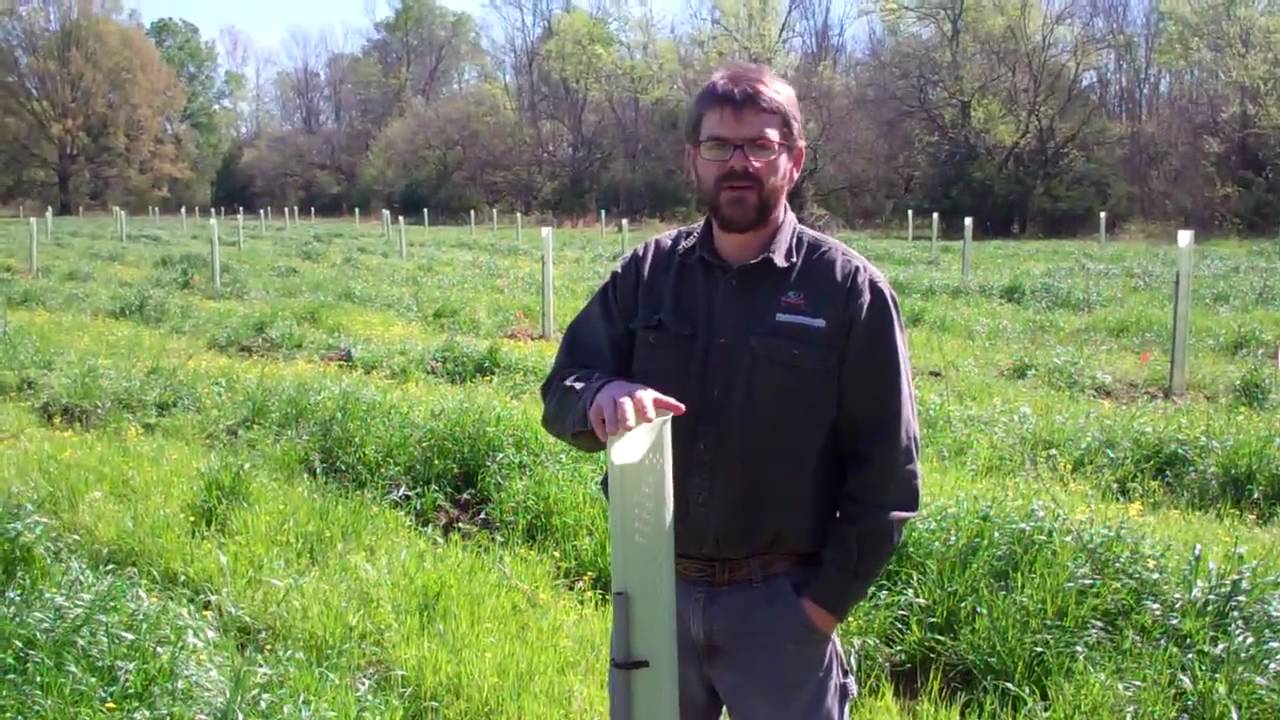 Nativ Nurseries Tree Protectors