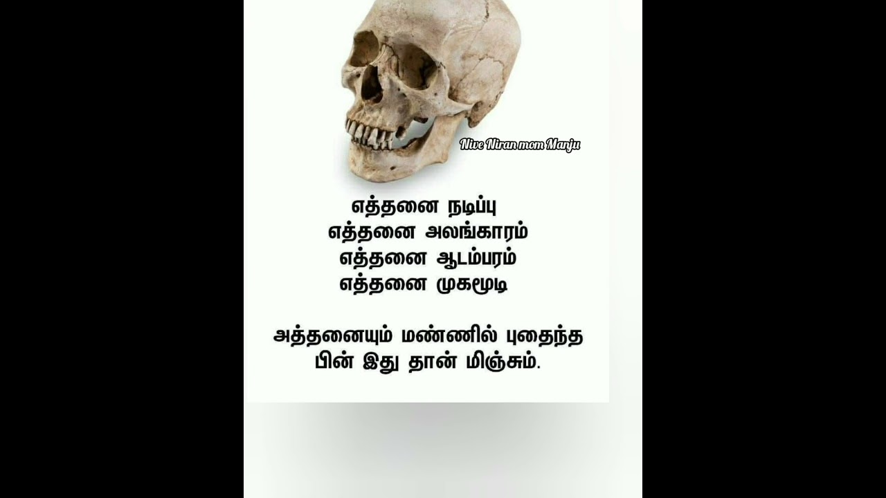 எத்தனை நடிப்பு ... | #shorts #true @NiveNiranmomManju