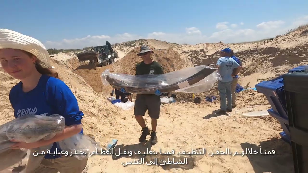 סיפורו של סנדי הלווייתן ערבית