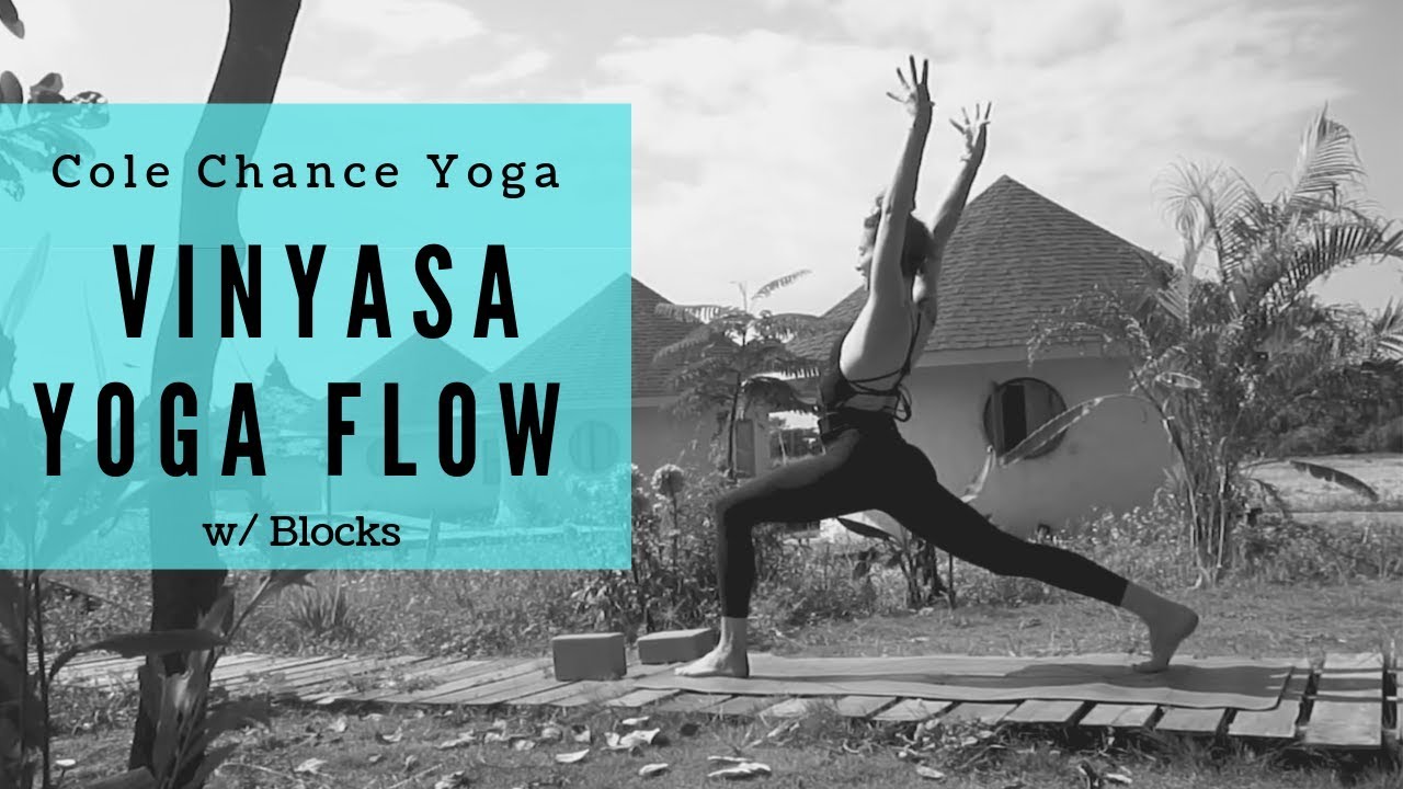 20 min Vinyasa Yoga Flow with Cole Chance