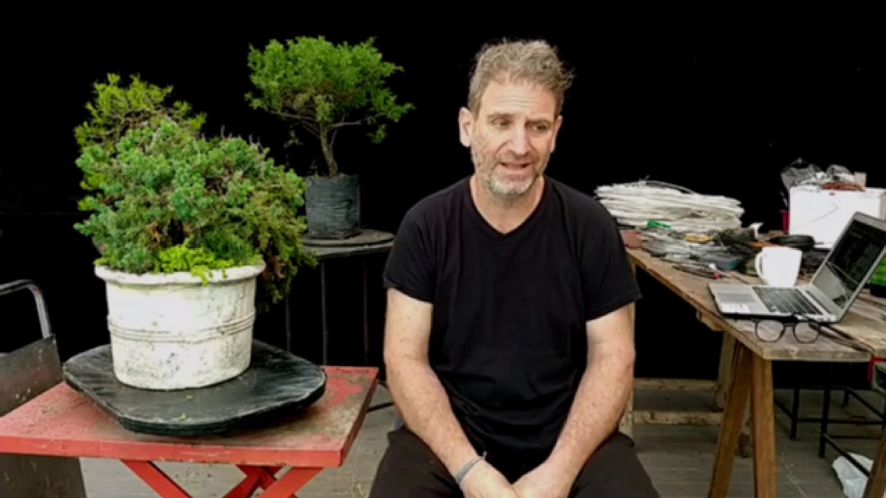 Curso de bonsái, on line & GRATIS - Nivel TITÁN - clase 01