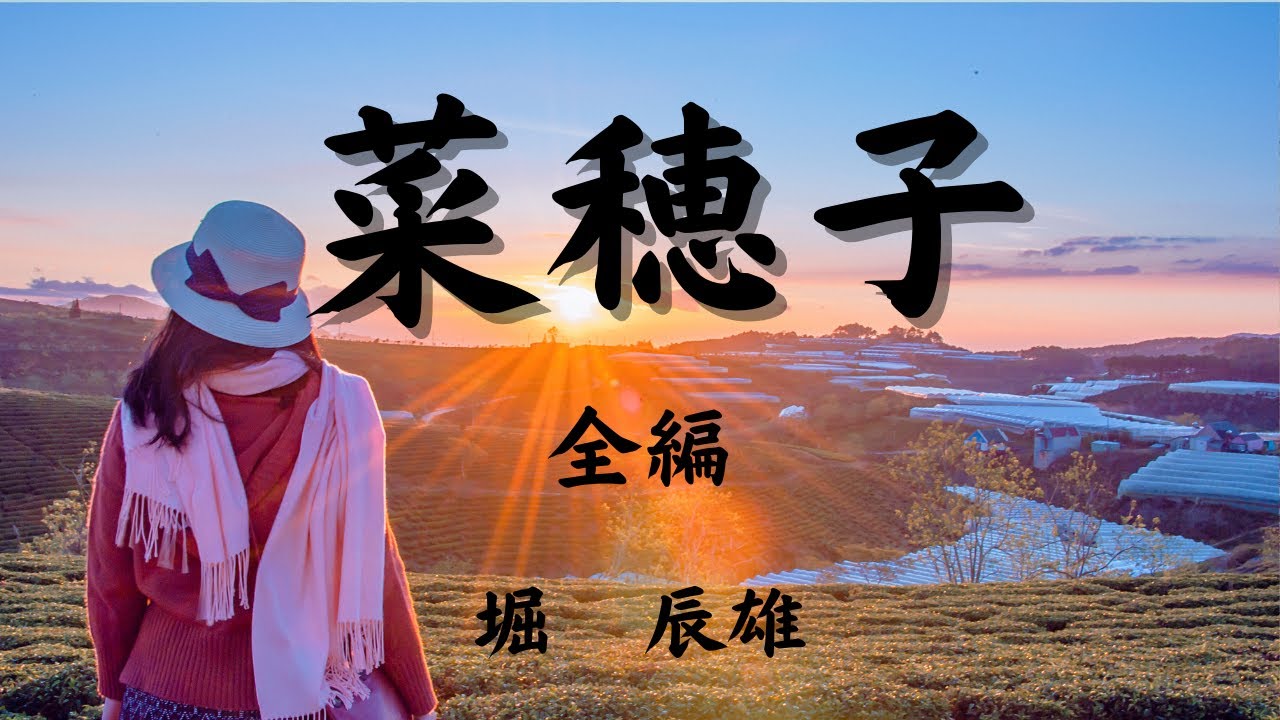 【青空文庫の朗読】堀辰雄『菜穂子』全編