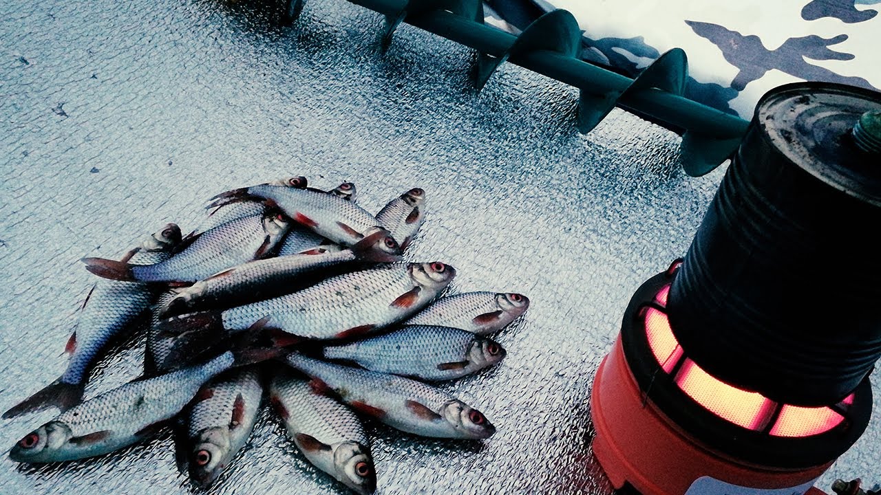 КЛЮЁТ ПЛОТВА И НЕ ТОЛЬКО! Зимняя Рыбалка в -20 В ПАЛАТКЕ С Отоплением! БОСЯЦКАЯ Кухня На Льду!