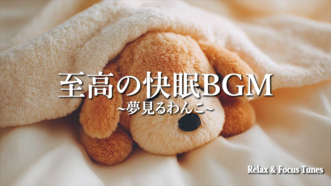 至高の快眠BGM~夢見るわんこ~ |リラックス|癒し|快眠|作業用BGM|