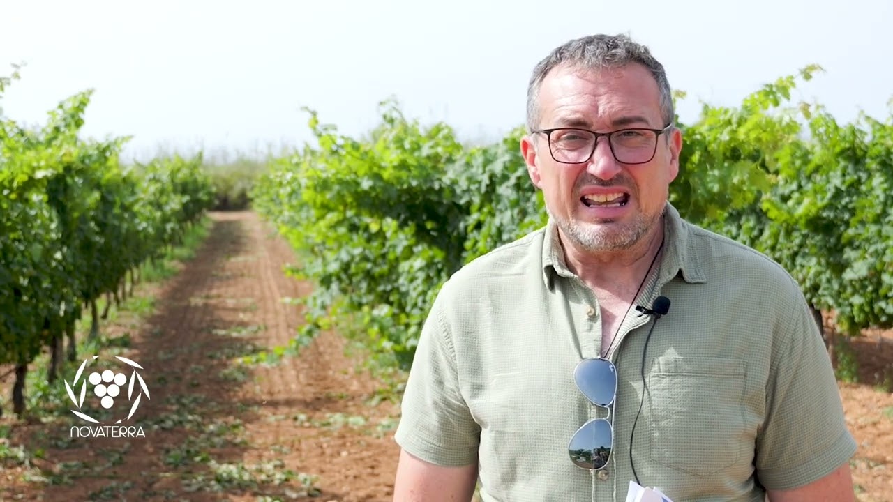 Stakeholder Interview - Alejandro García-Gasco