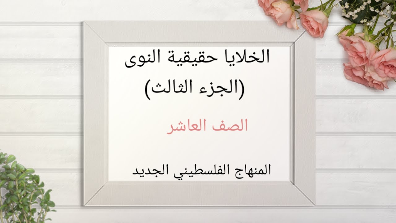الخلايا حقيقية النوى #الجزء الثالث #أحياء عاشر