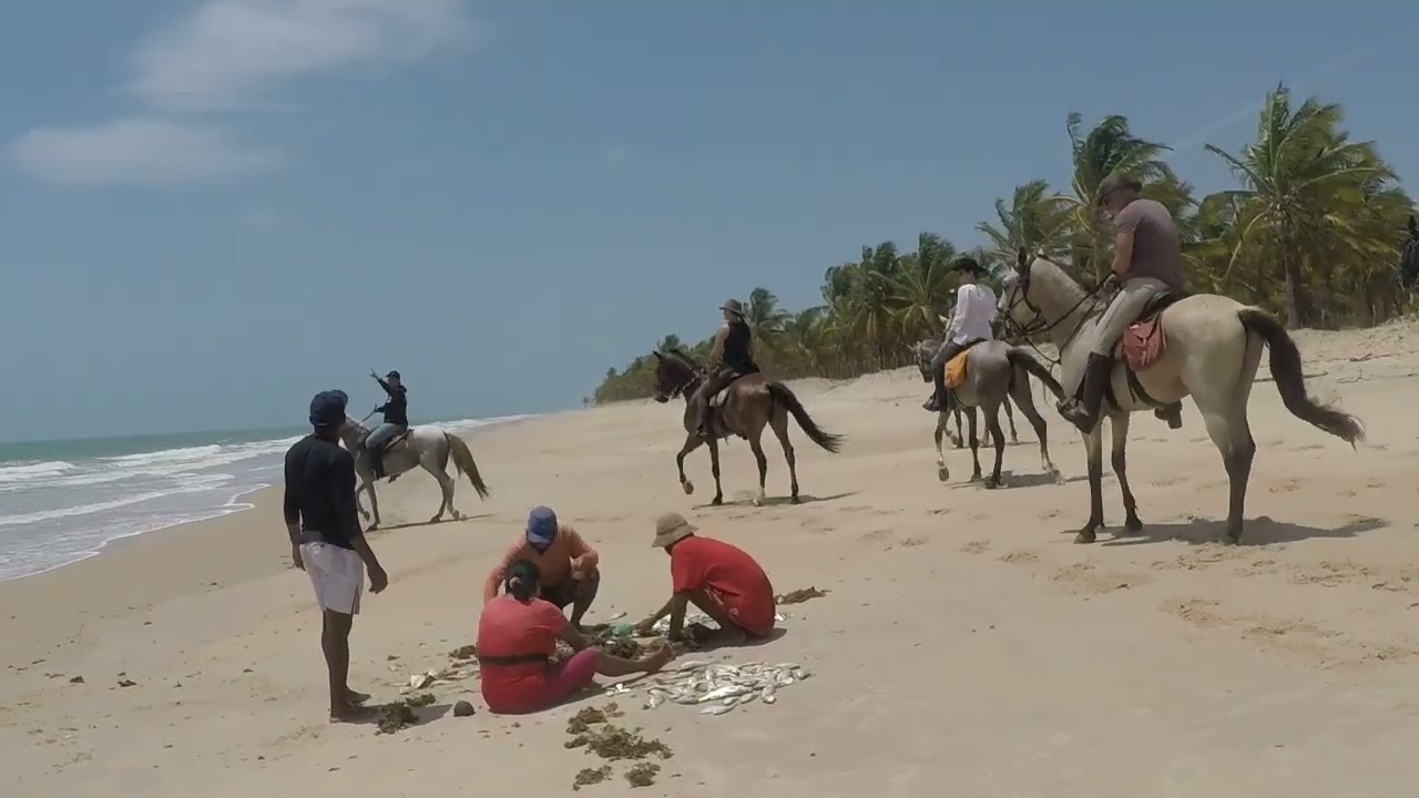 Brilliant Brazil : Horseback Riding & White Sand Beaches