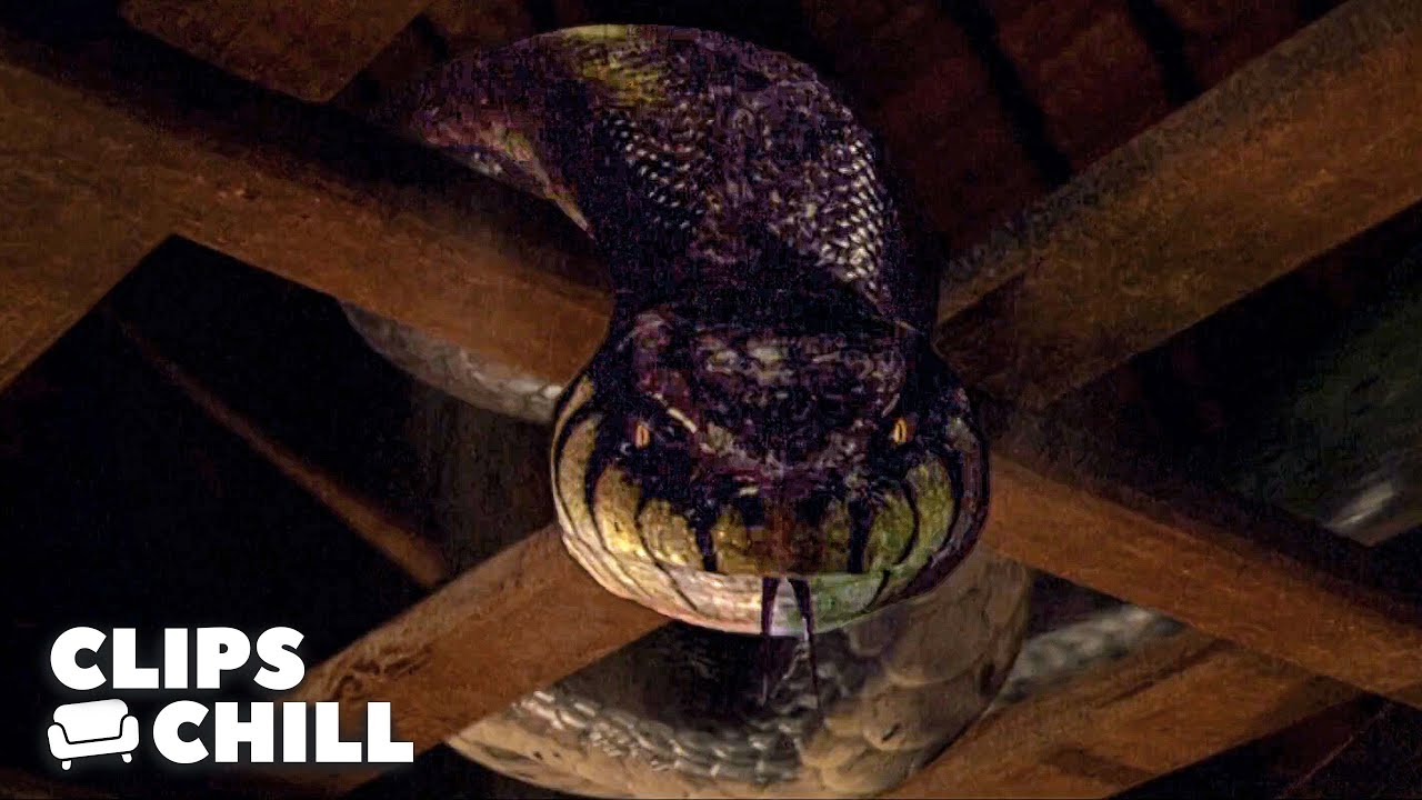 Eaten Alive By A Snake | Anacondas 2