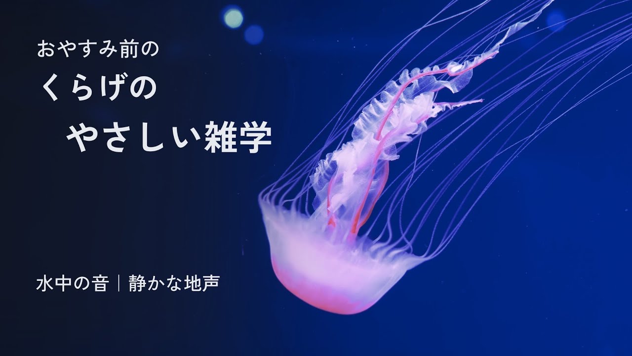 【睡眠導入】クラゲの雑学｜やさしい地声・水の音