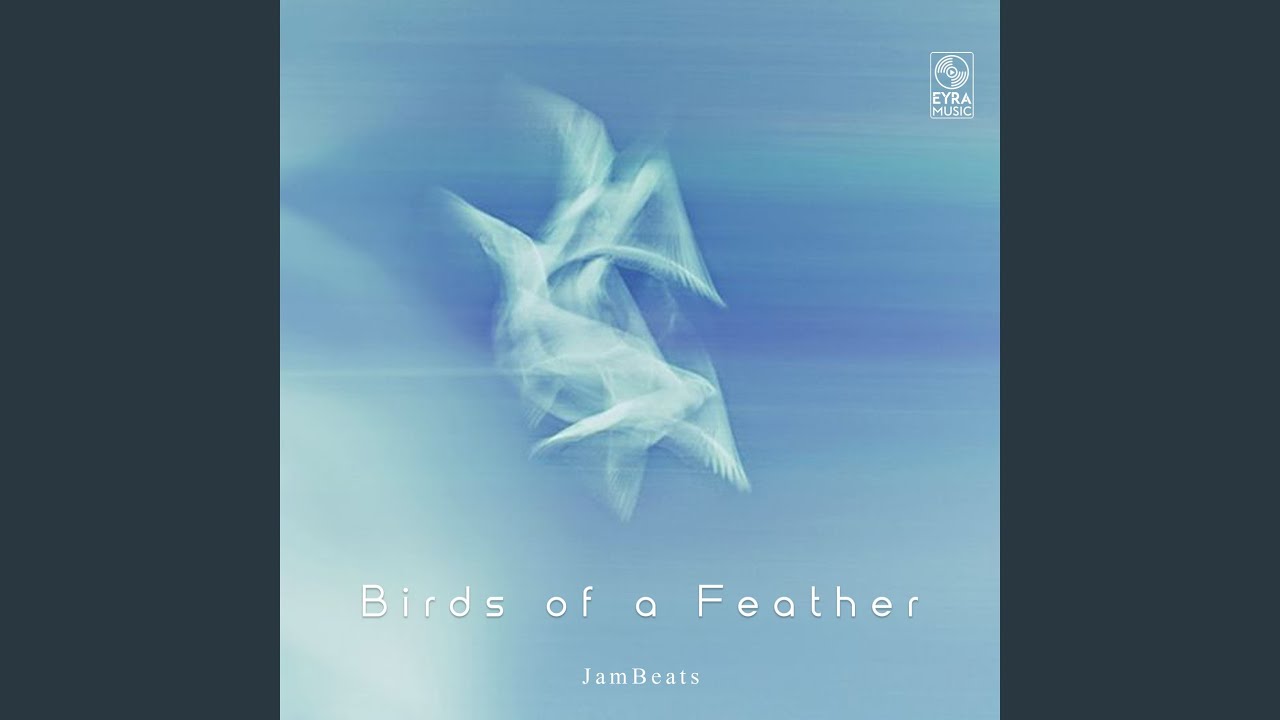 Birds of a Feather