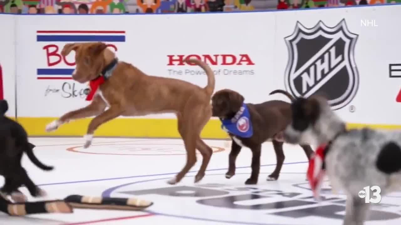 Mark Shunock 'honored' to bring together NHL and rescue pups for 'Stanley Pup' competition