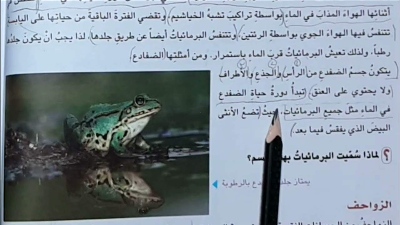 الحيوانات الفقرية  ص 36 و37 و38 و39 و 40 و41 علوم الصف الخامس الابتدائي
