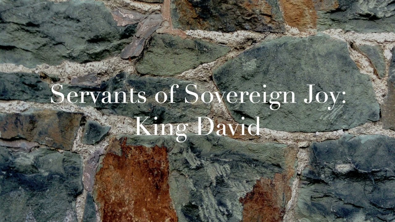Servants of Sovereign Joy: King David