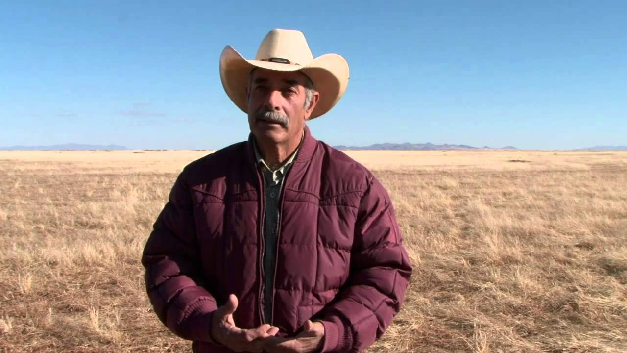 Consevación de pastizales del Desierto Chihuahuense/ Chihuahuan Desert Grasslands Conservation