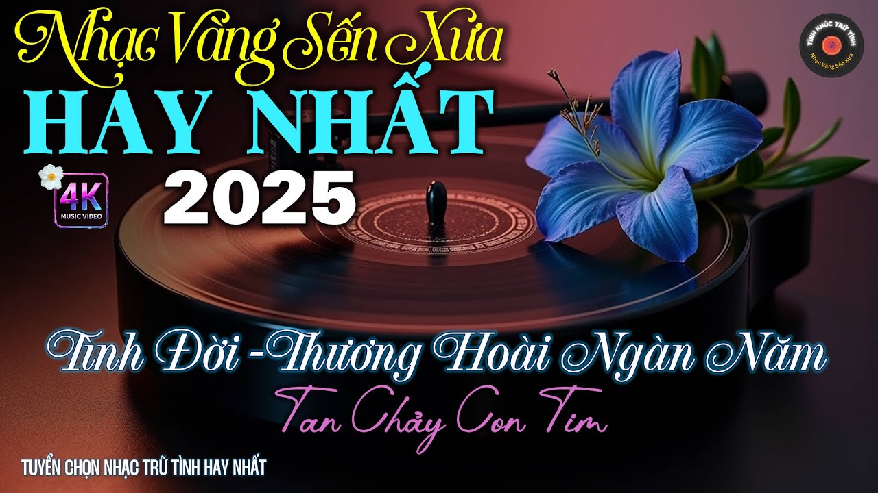 Nhạc TÌNH CA BOLERO Trữ Tình HAY NHẤT 2025 - Nhạc Vàng Sến Xưa Chọn Lọc CỰC ÊM TAI  - NGHE LÀ NGHIỆN
