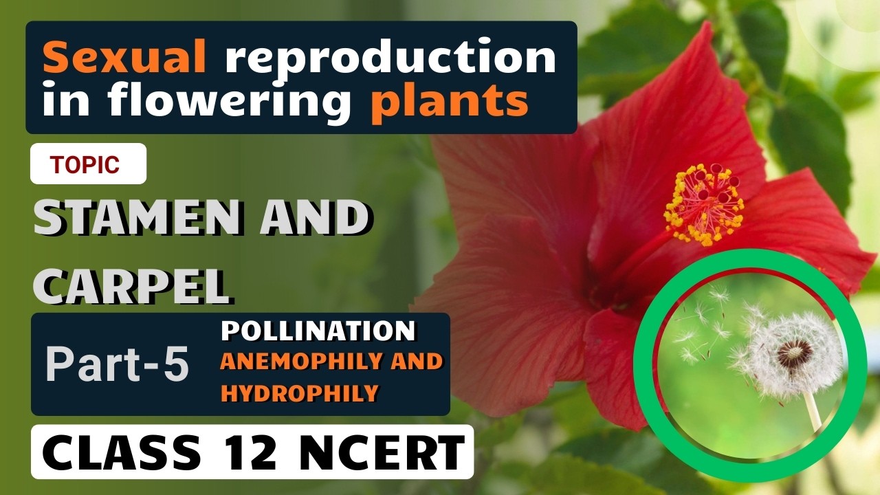 Sexual reproduction in flowering plants | Stamen | Part 5 | Pollination (Part 1)| NCERT Line By Line
