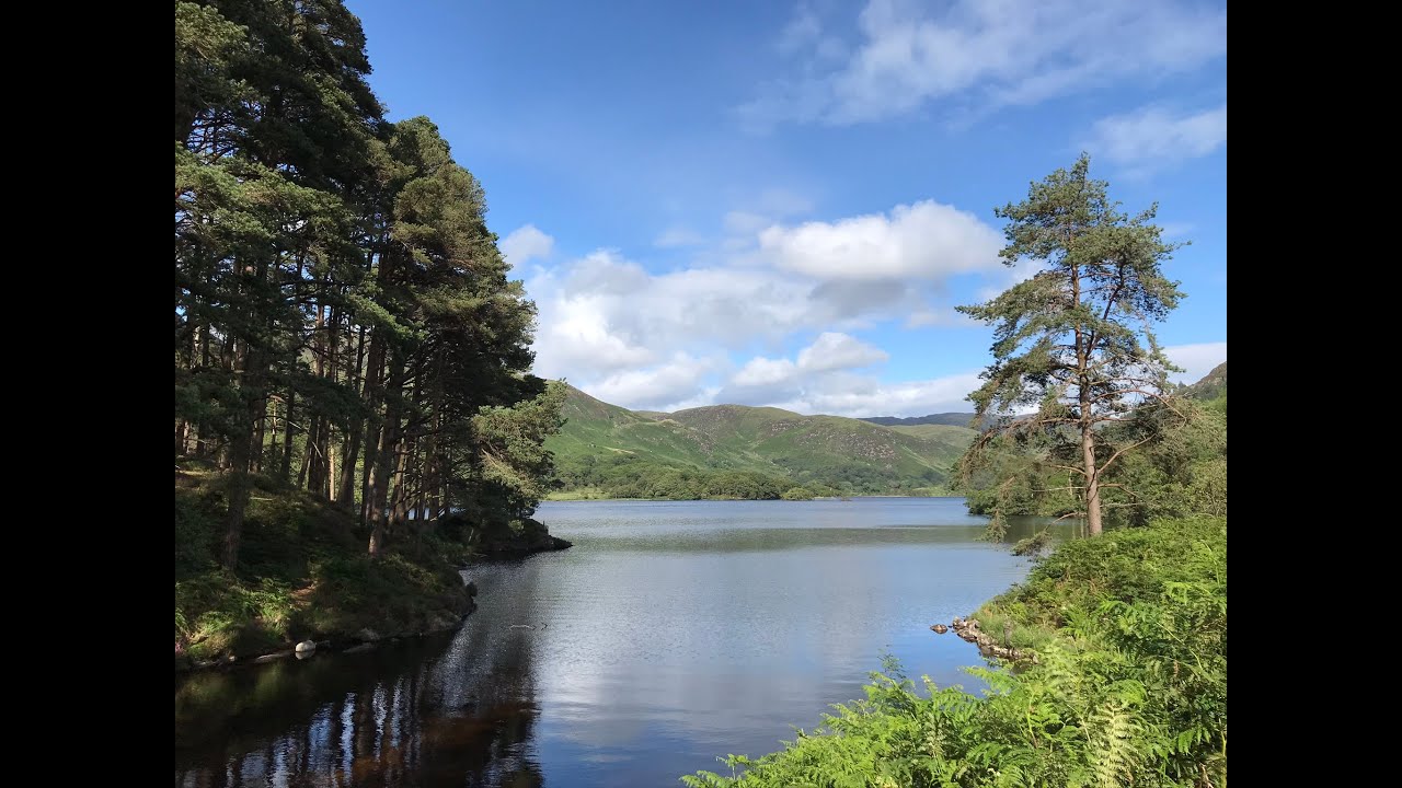 Loch Trool Walk - Hills, Burns, Wildflowers, Fungi & Ancient Woodlands Galloway Forest Park Scotland