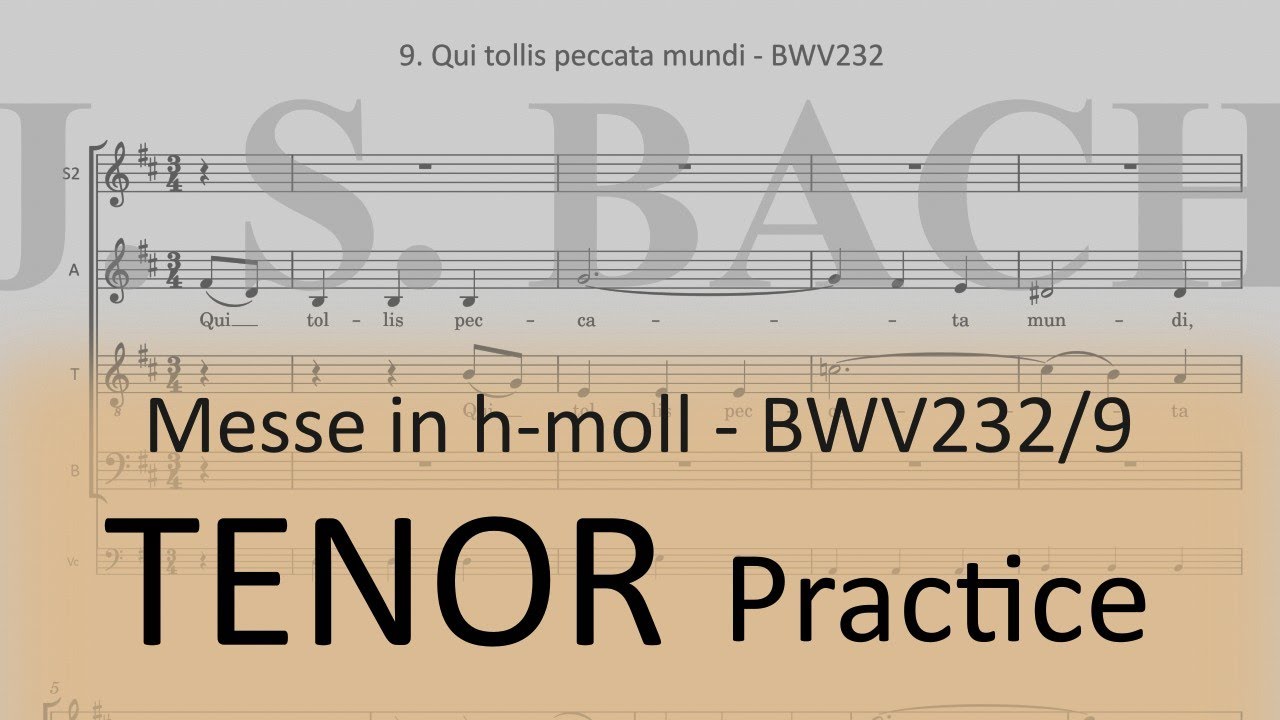 BWV232/9. Qui tollis peccata mundi - Tenor practice