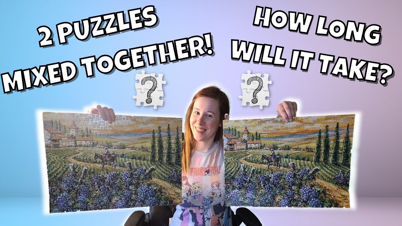 Mystery Mixed Up Challenge! How fast can I do two 500 piece puzzles that are mixed up together?