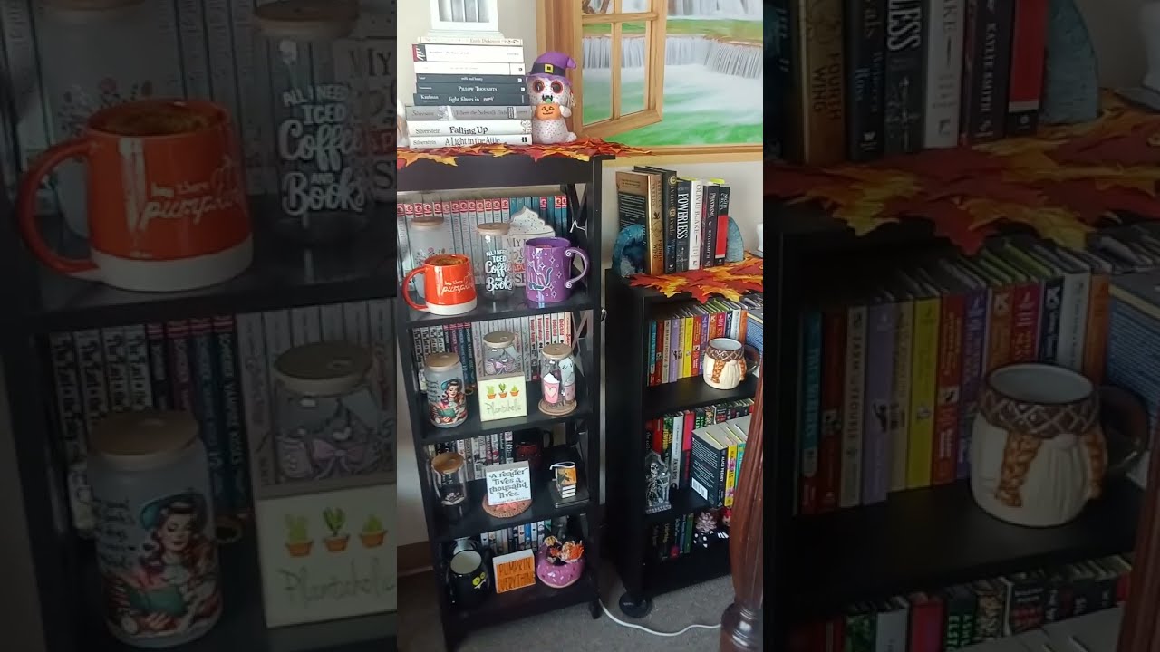 Dream Library Tour 2026 📚🗄️
