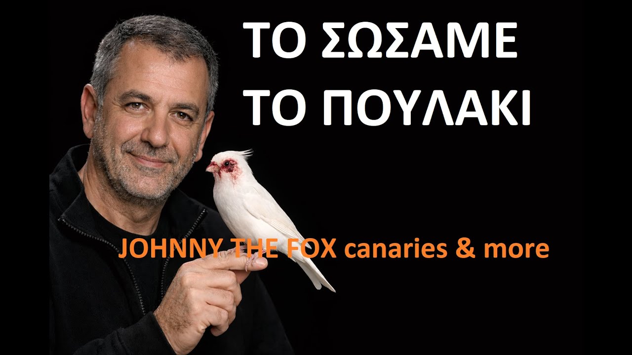 ΠΑΡΑΤΗΣΕ ΤΟ ΖΩΝΤΑΝΟ ΣΤΑ ΣΚΟΥΠΙΔΙΑ