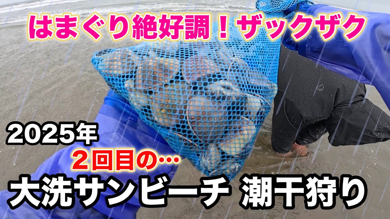 茨城にある無料で遊べる人気潮干狩りスポット はまぐり採るならココ！大洗サンビーチ 潮干狩り(２回目)