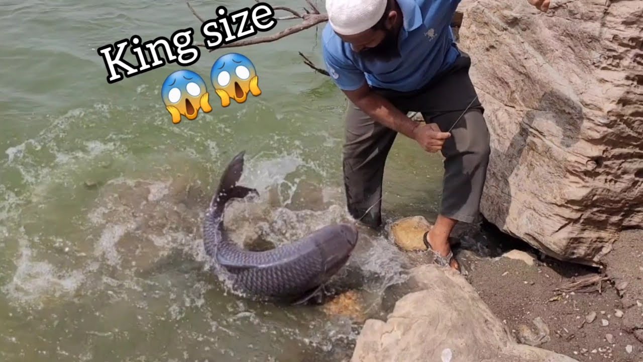 King size Rohufishes 😱😱|10.470kg and 8.800kg fishes|100%Successful Bite in SINGLE hook fishing|
