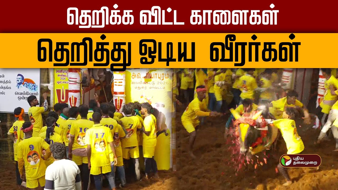 Avaniyapuram Jallikattu  | தெறிக்க விட்ட காளைகள்- தெறித்து ஓடிய வீரர்கள் | Pongal  | PTD