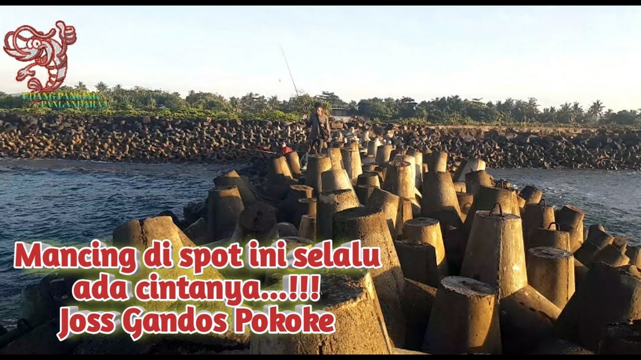 Mancing di spot ini selalu ada cintanya || Mancing pinggiran