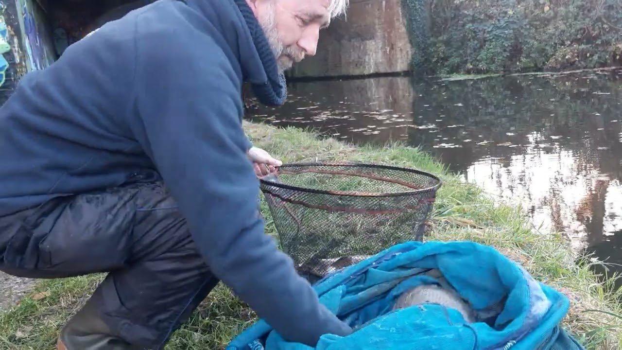 wey nav canal bream