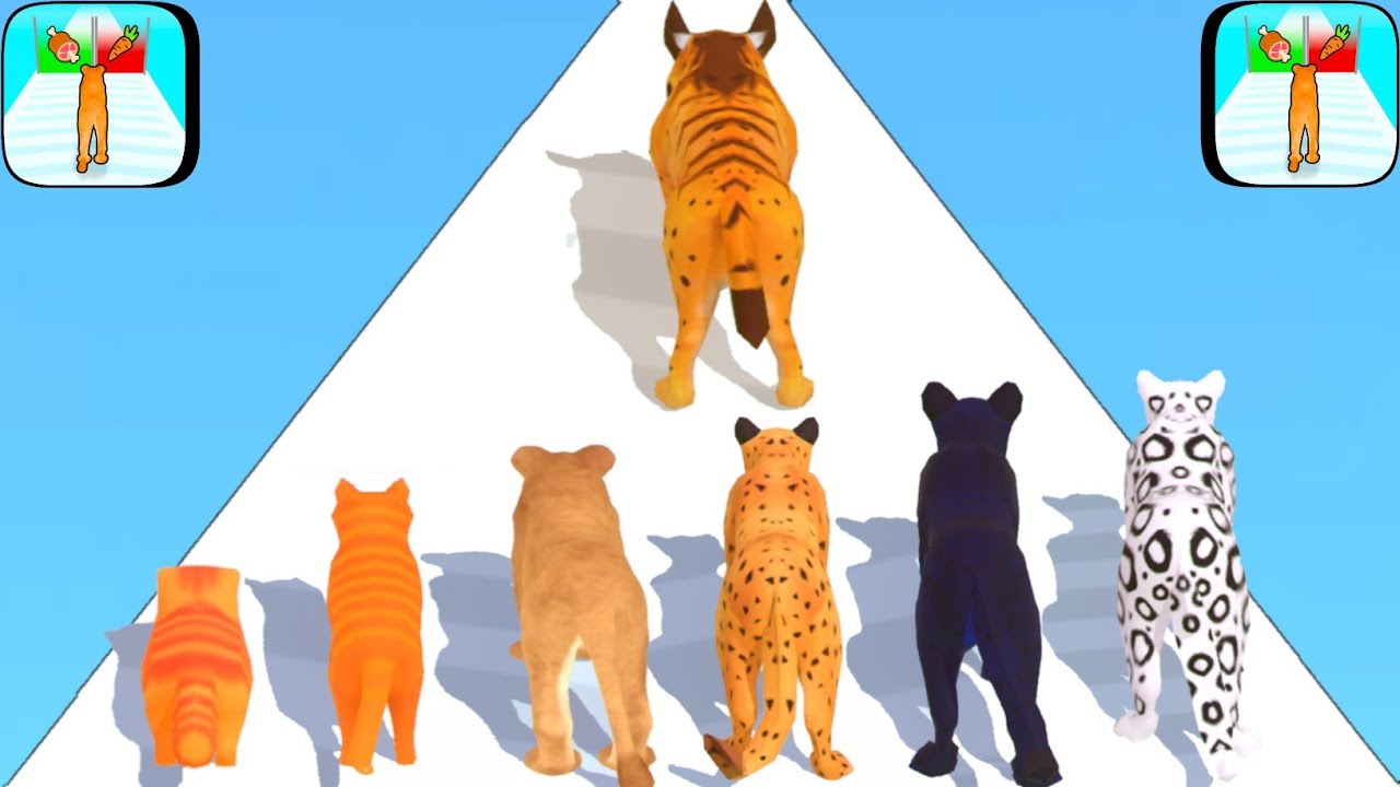Cat Evolution Run 3D - Level Up (Satisfying ASMR Gameplay) 1 vs Mx
