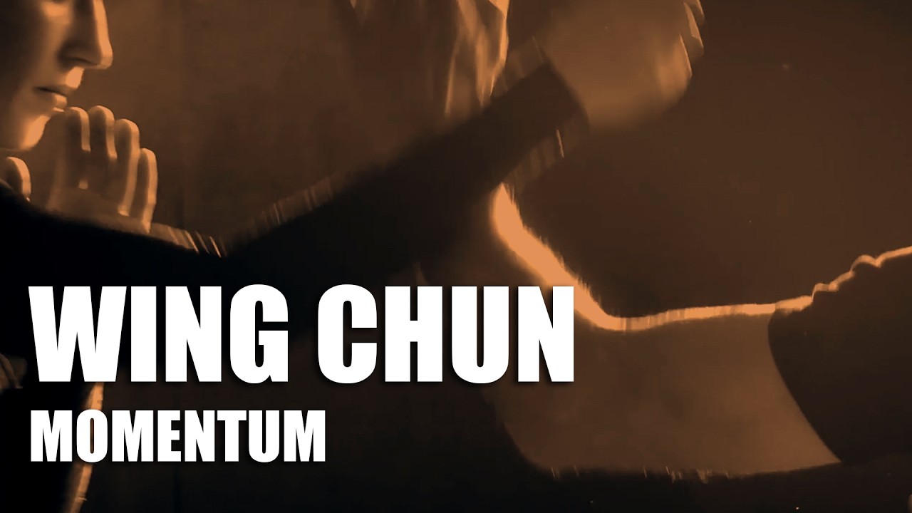 #wingchun momentum