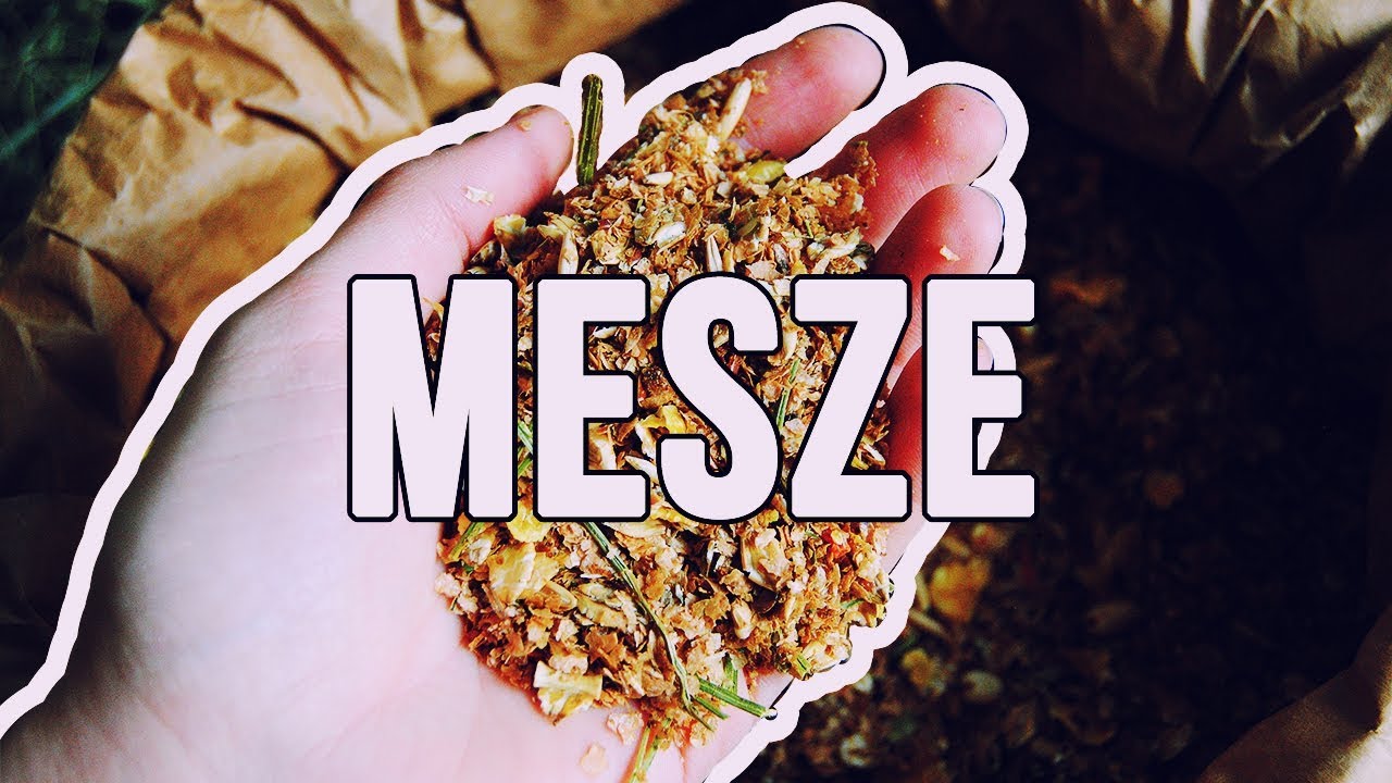 O MESZU