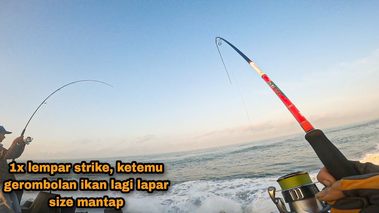 Edannn!!Ganasnya Sambaran ikan kalau lagi lapar joran sampai lepas dari tangan,casting di pantai