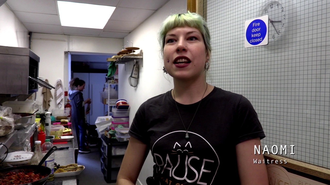 Pause Cat Cafe Documentary
