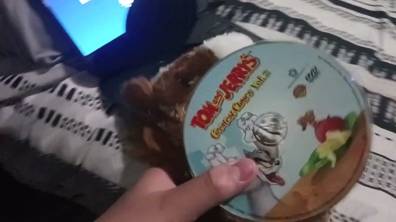 Horse watches the Warner Home Video logo