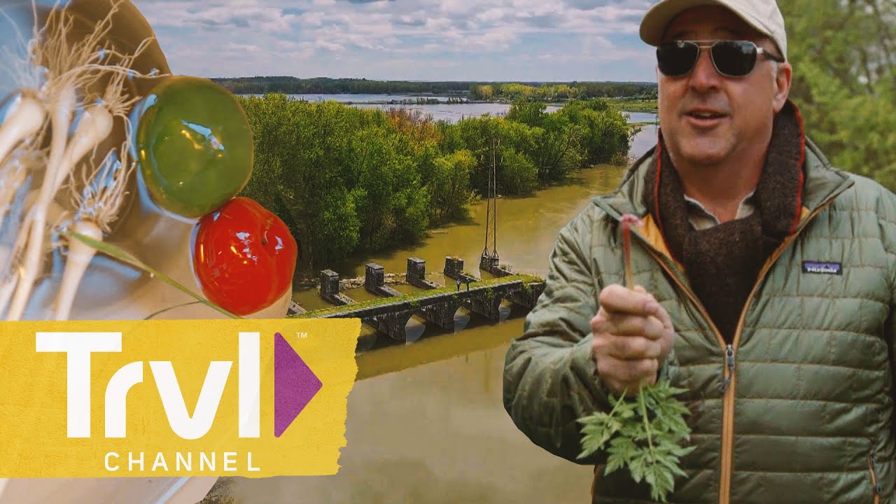Andrew Forages Along the Erie Canal | Bizarre Foods With Andrew Zimmern | Travel Channel