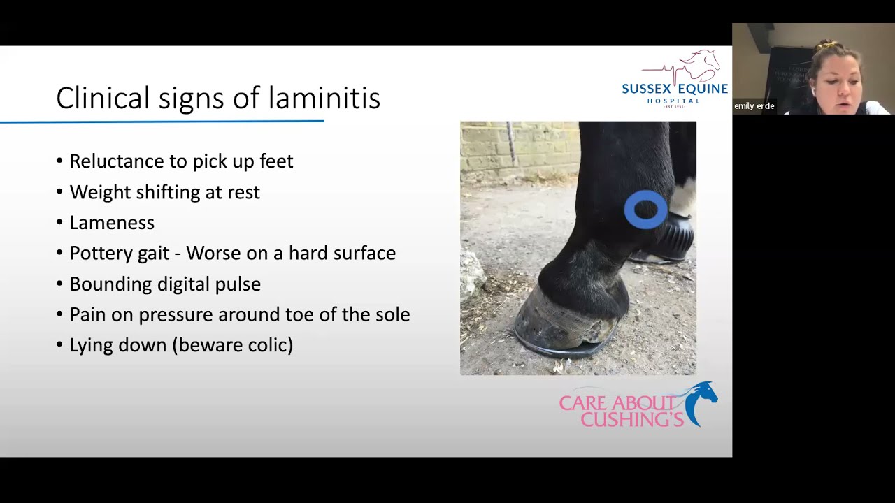 Laminitis - Part 1