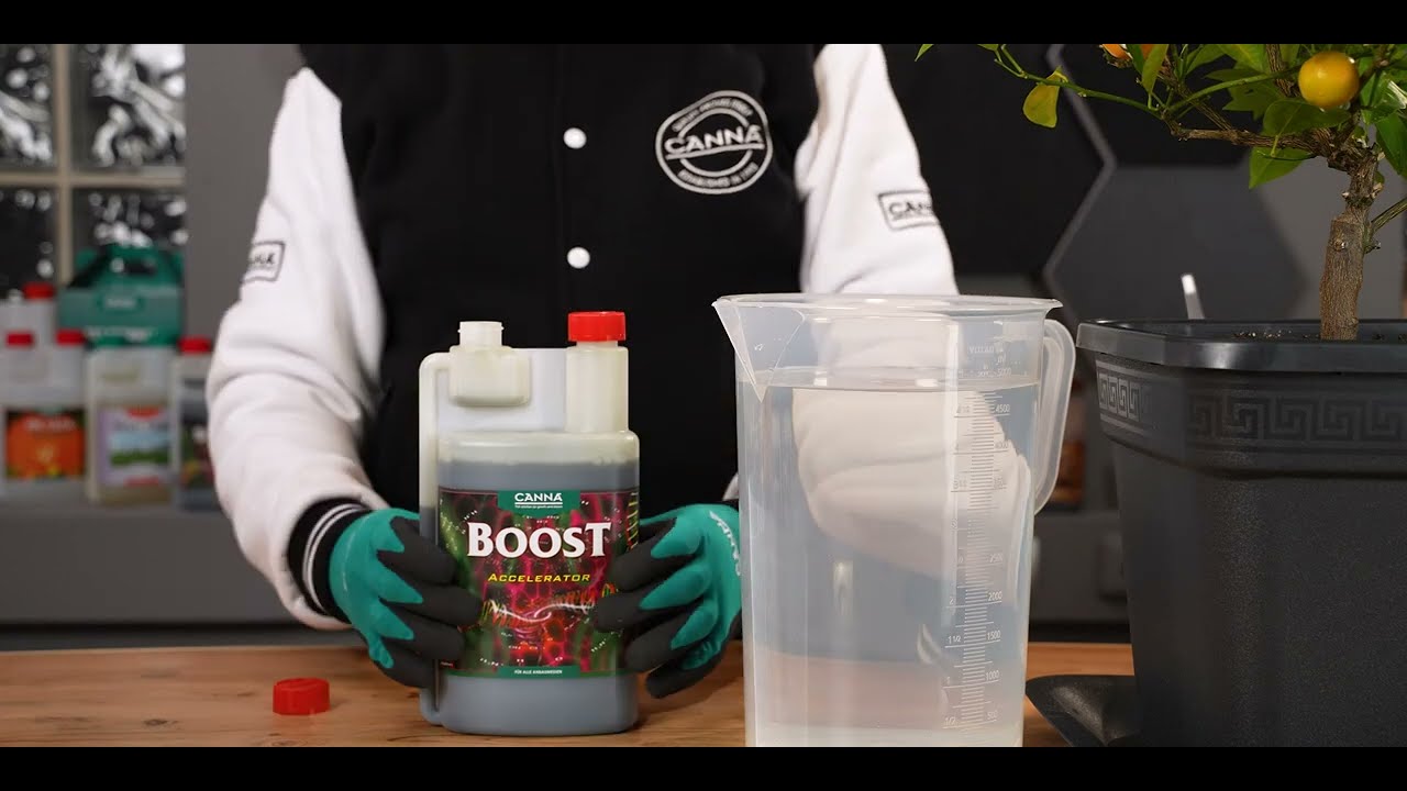 How to Use CANNA BOOST Accelerator: Unlock Monster Flowers FAST!