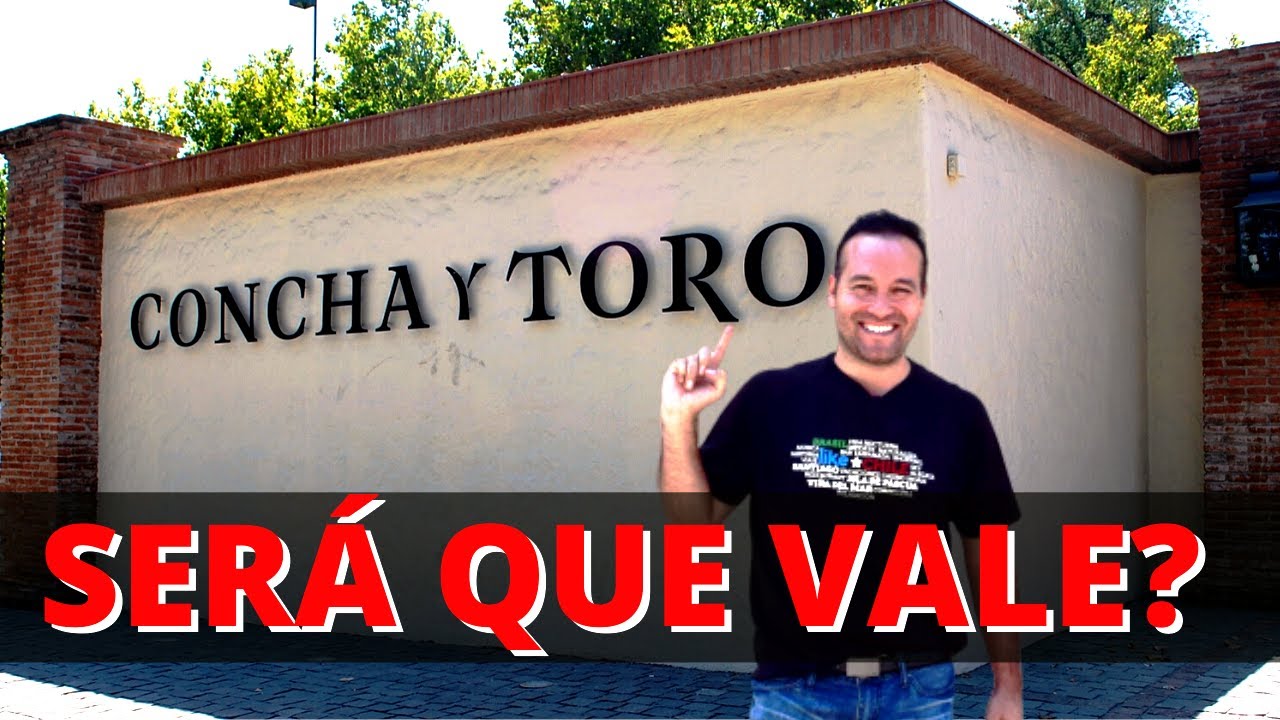 🍷 vin&iacute;cola CONCHA Y TORO TOUR, como &Eacute;?