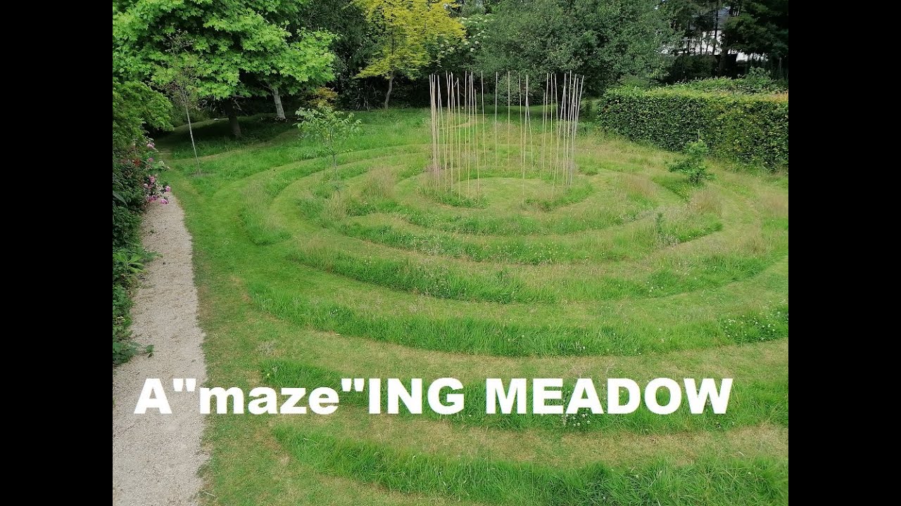 aMAZEing meadow