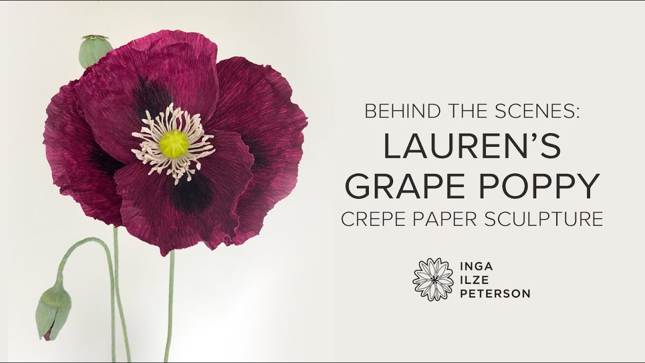 Crepe Paper Laurens Grape Poppy Timelapse