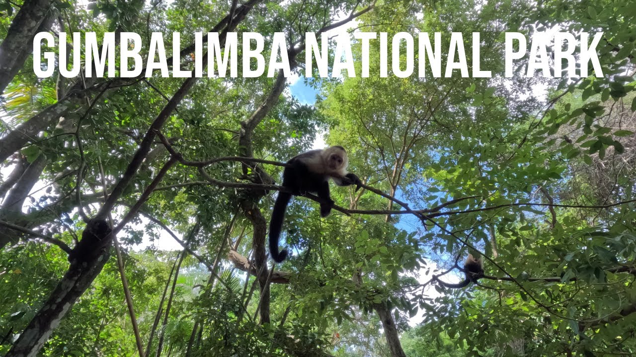 Hiking, Ziplining & Exotic Wildlife in Gumbalimba National Park - Roatan (Honduras) [4K]