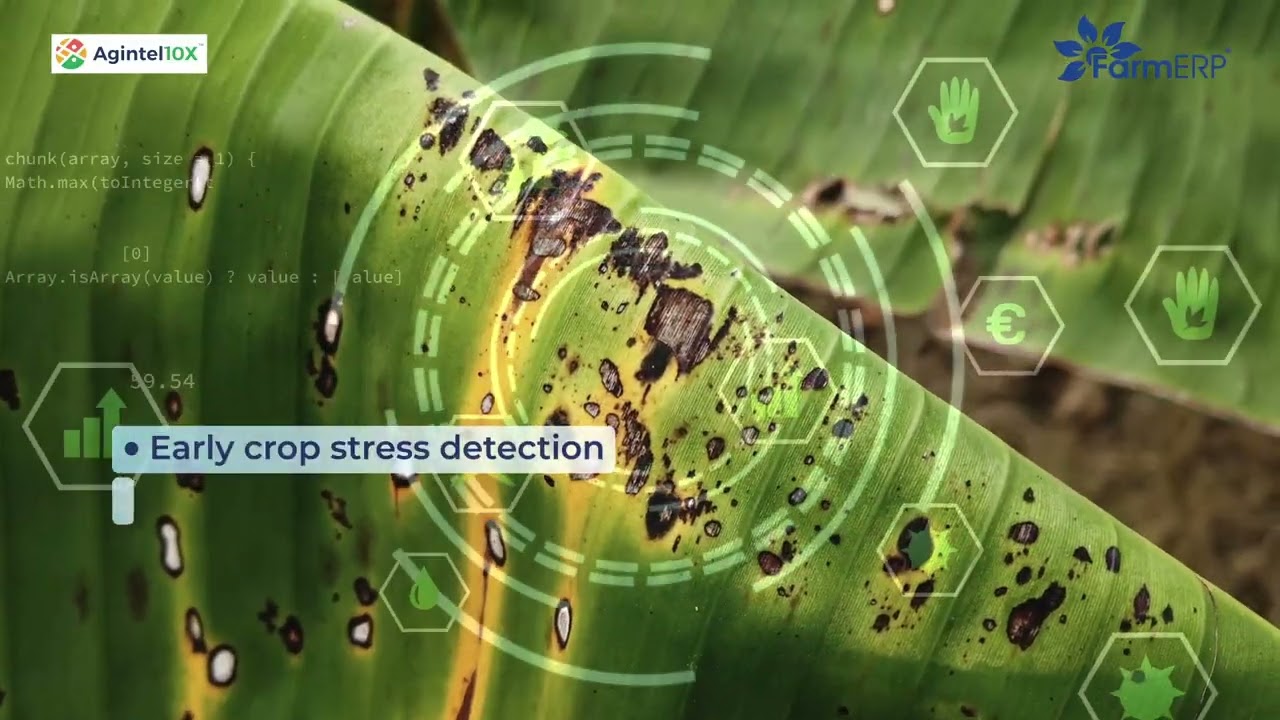Know how FarmERP's AgIntel10X makes precision farming possible.