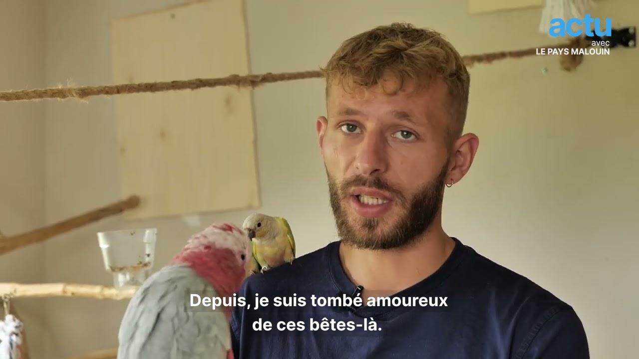 François offre un refuge aux perroquets maltraités ou abandonnés
