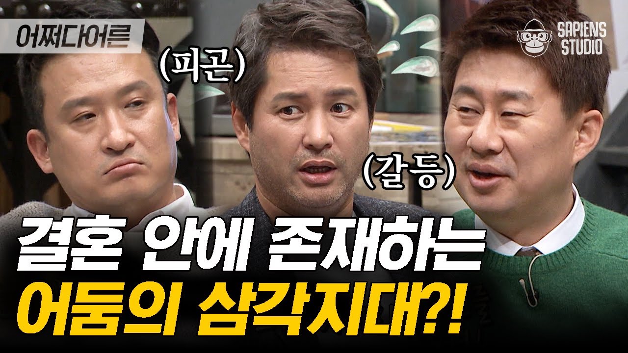 싱글이 결혼보다 안정적이다? 결혼하면 나타나는 세 가지, 예전엔 미처 몰랐어요😭  | #어쩌다어른 EP13-07 #사피엔스 | CJ ENM 151203 방송