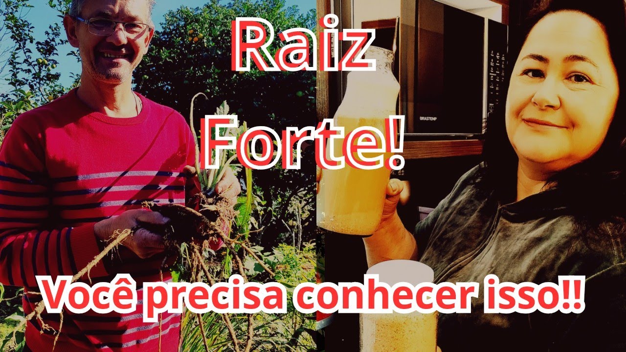 Raiz forte ou Raiz brava, como fazer o preparo!