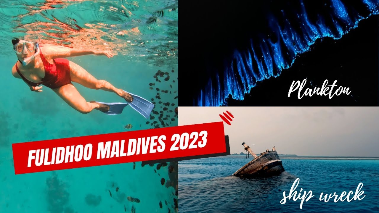 Best things to do in Fulidhoo Island - Maldives holiday #tripwithkatlata #maldivesholiday #fulidhoo